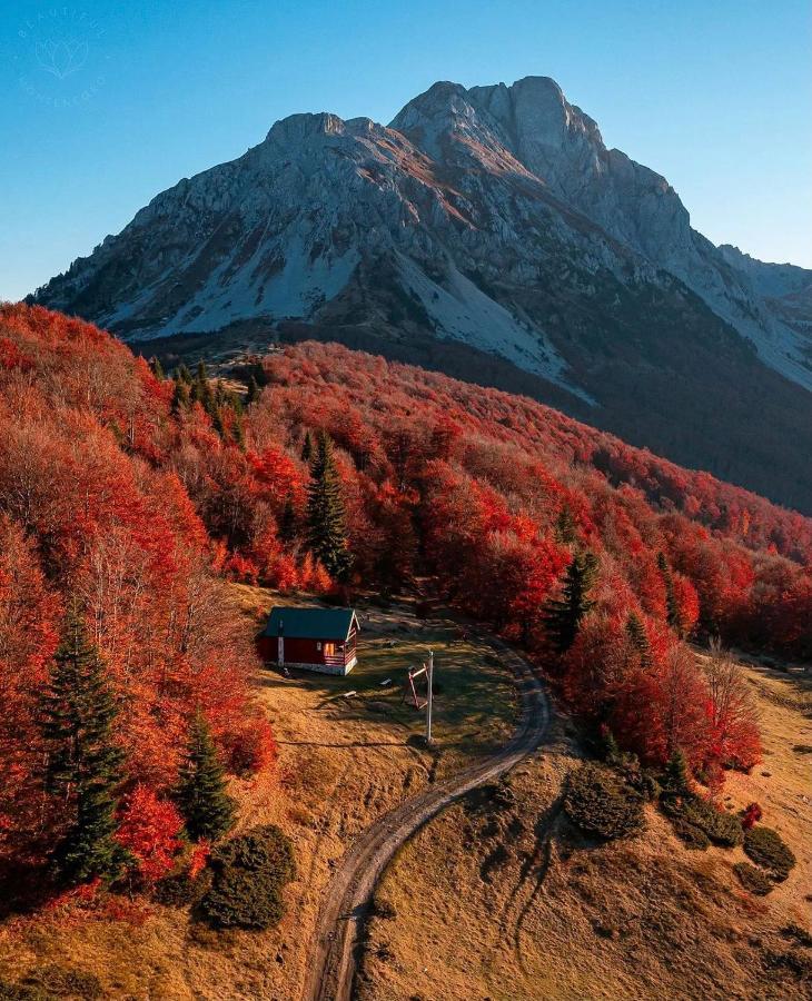 Mountain House Komovi-Radunovic Andrijevica Eksteriør bilde