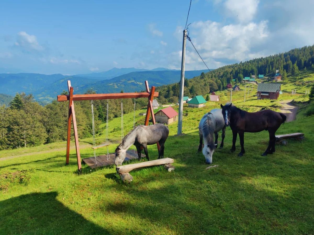 Mountain House Komovi-Radunovic Andrijevica Eksteriør bilde