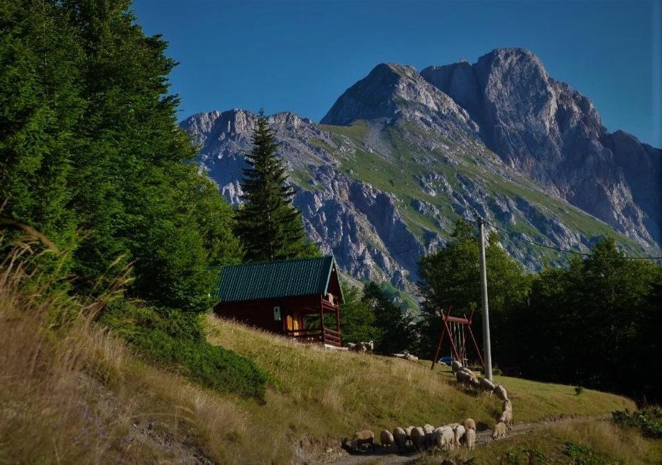 Mountain House Komovi-Radunovic Andrijevica Eksteriør bilde